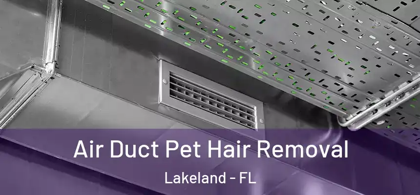  Air Duct Pet Hair Removal Lakeland - FL