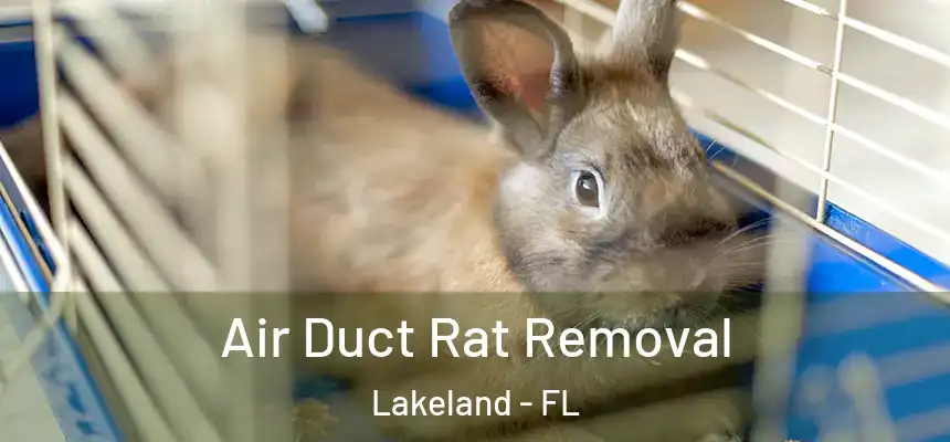 Air Duct Rat Removal Lakeland - FL
