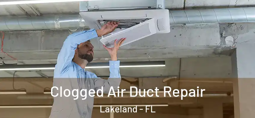  Clogged Air Duct Repair Lakeland - FL
