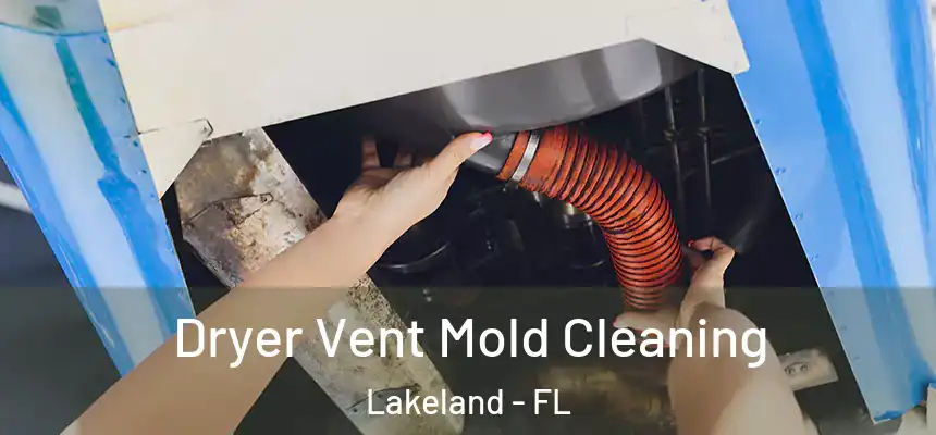  Dryer Vent Mold Cleaning Lakeland - FL