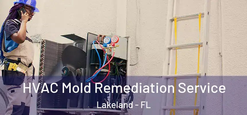  HVAC Mold Remediation Service Lakeland - FL
