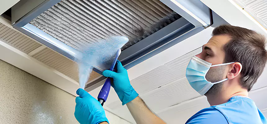 Proactive Dryer Vent & Auxiliary Duct Pollen Cleanup in Lakeland, FL