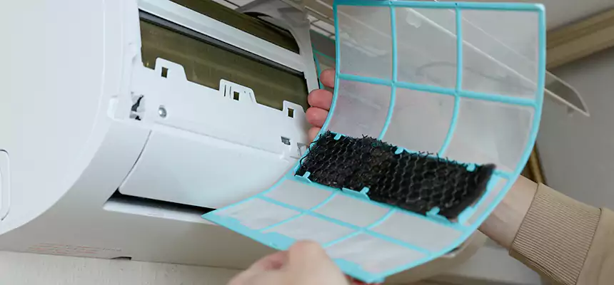 Gentle Ductwork Odor-Control Pet Dander Duct Cleaning in Lakeland, FL