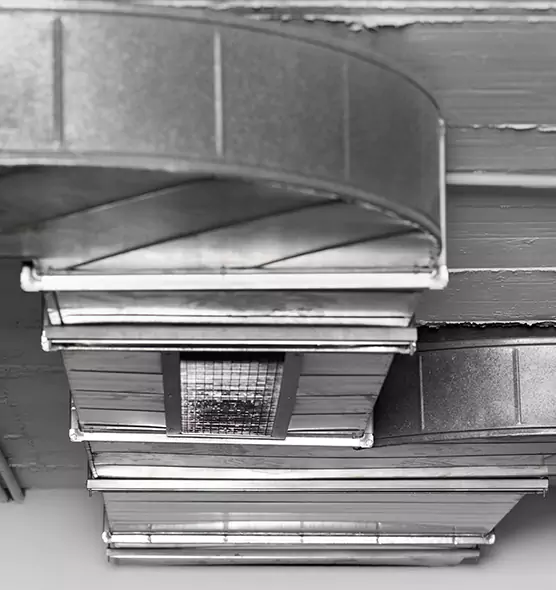 Professional Air Duct Pest Removal in Lakeland, FL