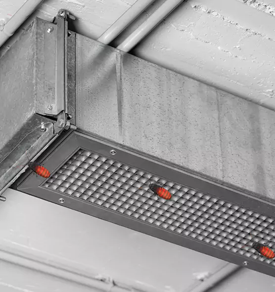 Affordable Insect Removal from Air Ducts in Lakeland, FL
