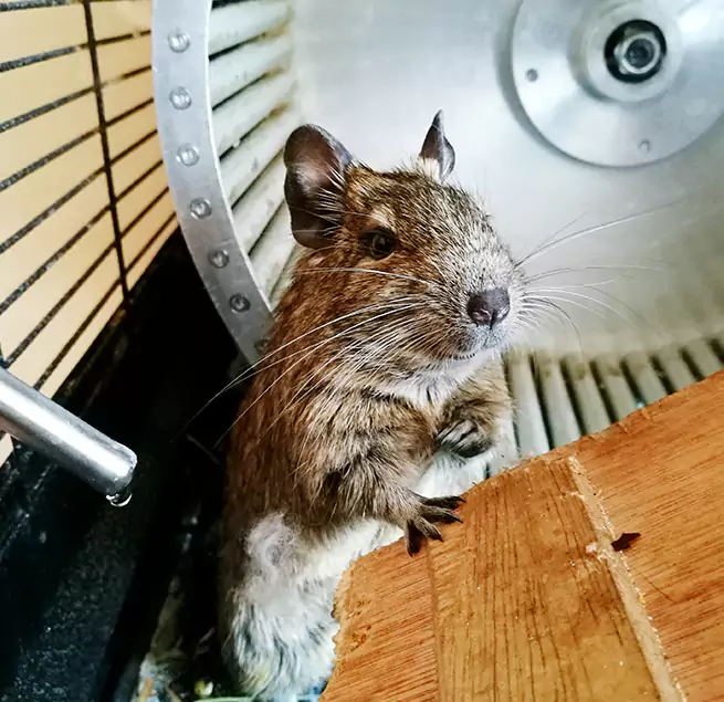 Why Homeowners & Businesses Trust Us Lakeland, FL