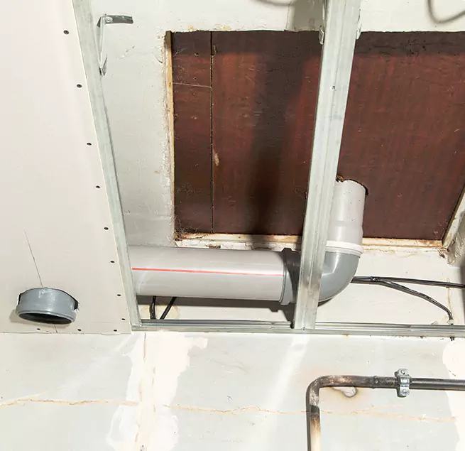 Why Homeowners & Businesses Trust Us in Lakeland, FL?