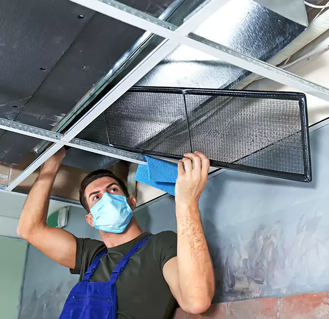 Why Homeowners Businesses Trust Us in Lakeland, FL